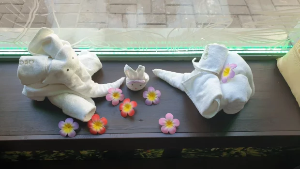 СПА салон "Organic Thai SPA"