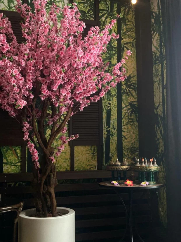 СПА салон "Organic Thai SPA"